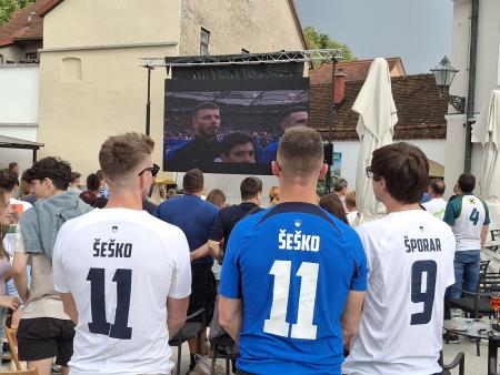 Ogledi nogometnih tekem slovenske reprezentance  (5)